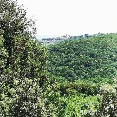 6 Bedroom Gorgeous In Montaione